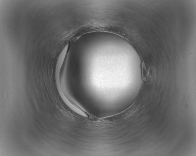 X0000055991348200509092008