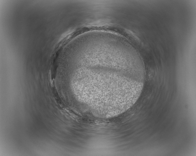 X0000055991350200509092008