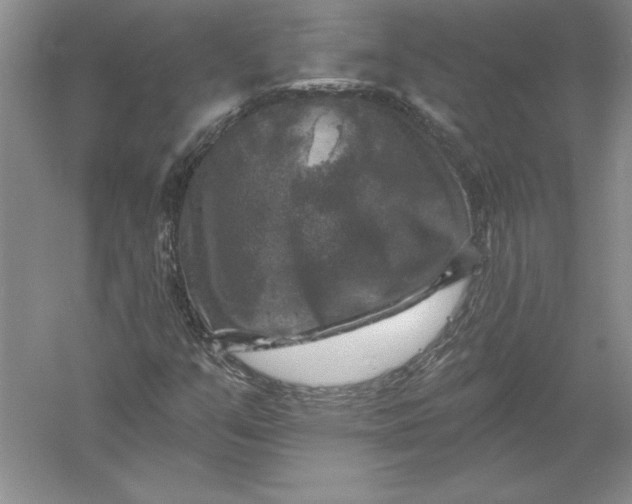 X0000055991351200509092008