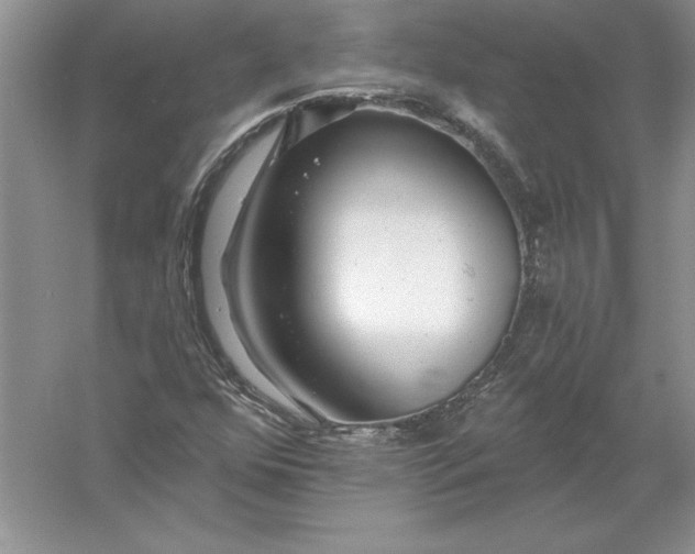 X0000055991352200509092008