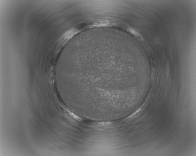 X0000055991353200509092008