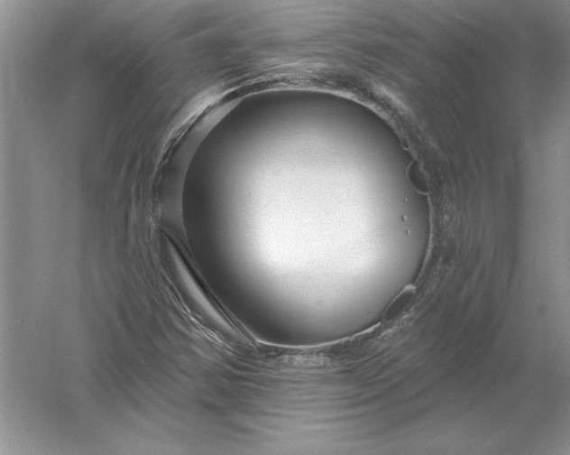 X0000055991354200509092008