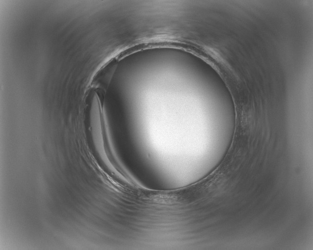 X0000055991356200509092008