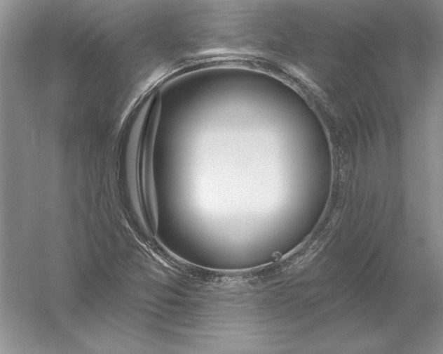 X0000055991357200509092008