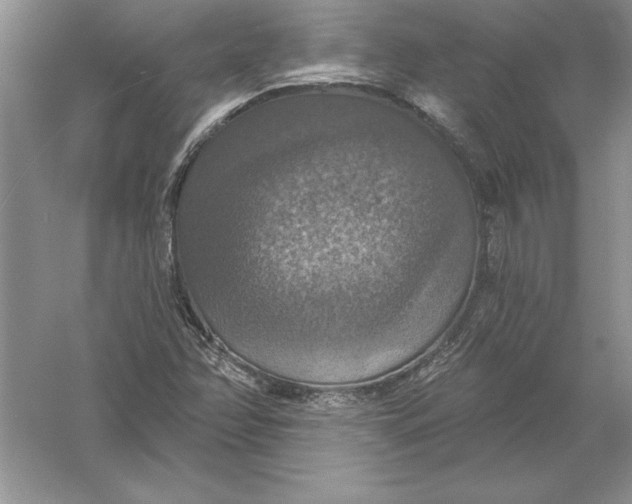 X0000055991358200509092008