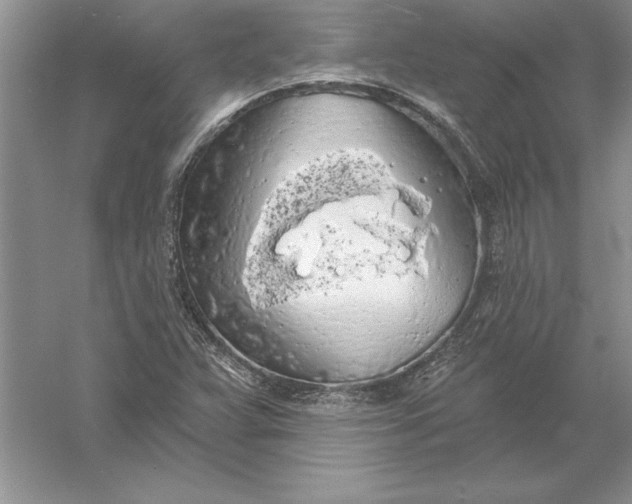 X0000055991359200509092008