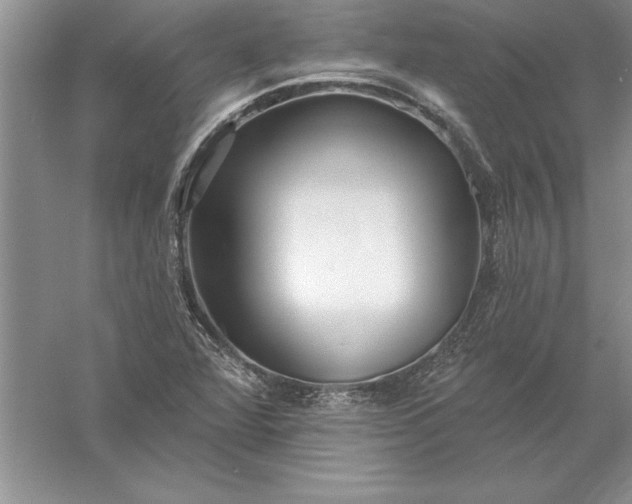 X0000055991360200509092008