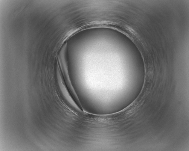 X0000055991361200509092008