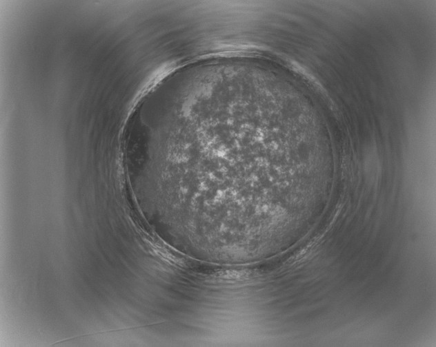 X0000055991362200509092008