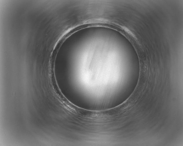 X0000055991364200509092008