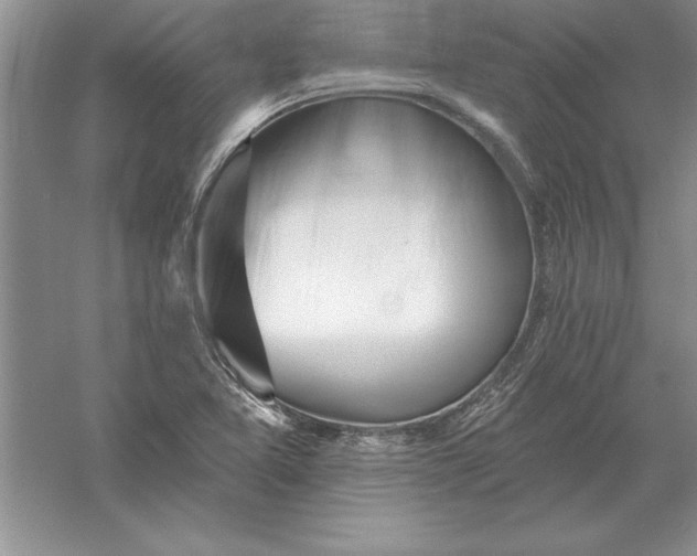 X0000055991365200509092008