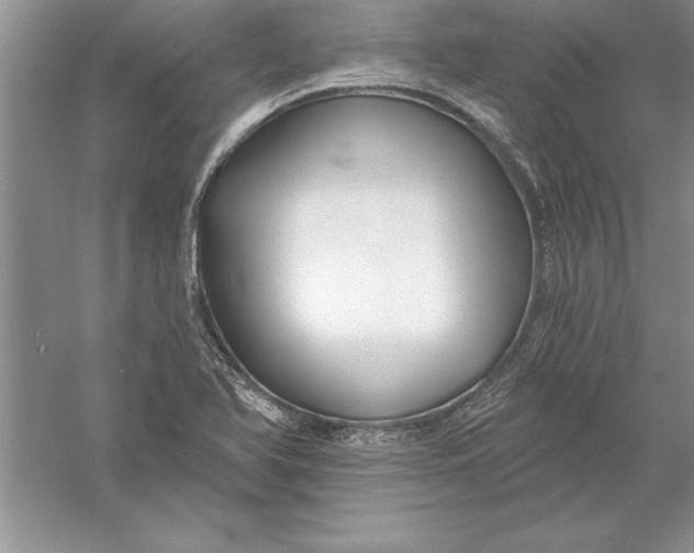 X0000055991366200509092008