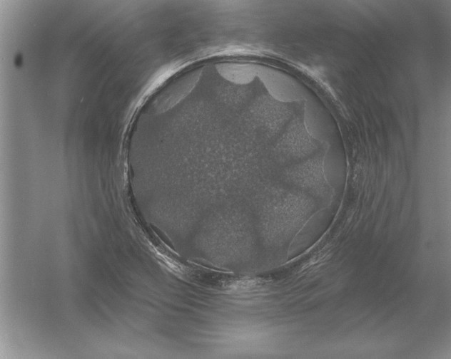 X0000055991367200509092008