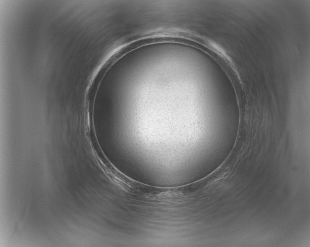 X0000055991368200509092008