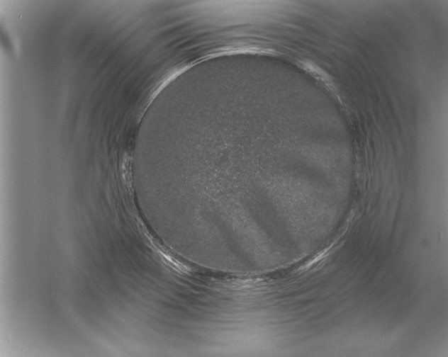 X0000055991369200509092008