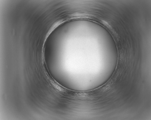 X0000055991370200509092008