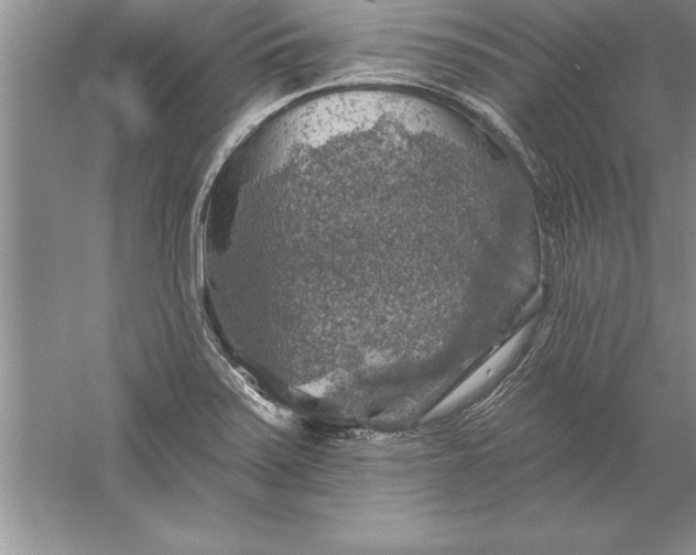 X0000055991371200509092008