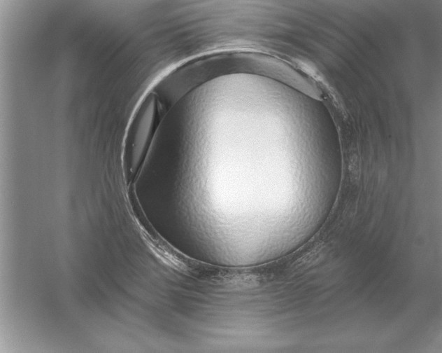 X0000055991372200509092008