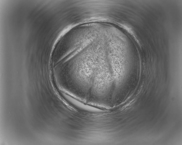 X0000055991373200509092008