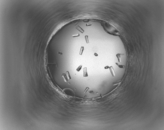 X0000055991374200509092008