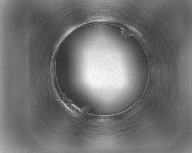 X0000055991375200509092008