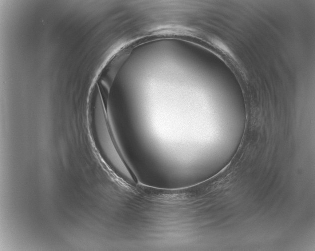 X0000055991376200509092008