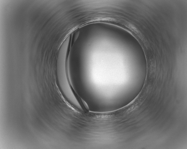 X0000055991377200509092008