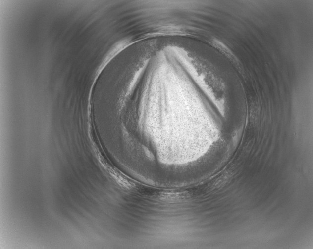 X0000055991378200509092008