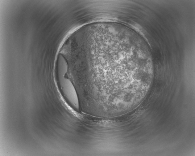 X0000055991379200509092008