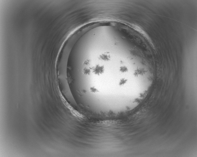 X0000055991380200509092008