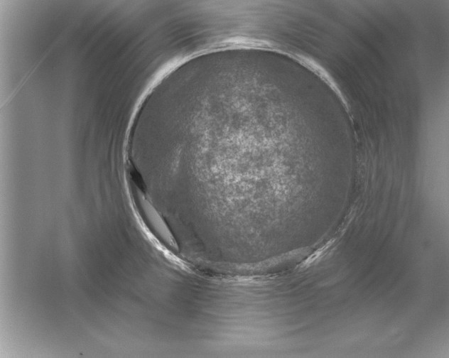 X0000055991381200509092008