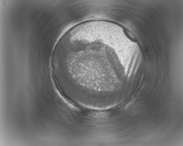 X0000055991382200509092008