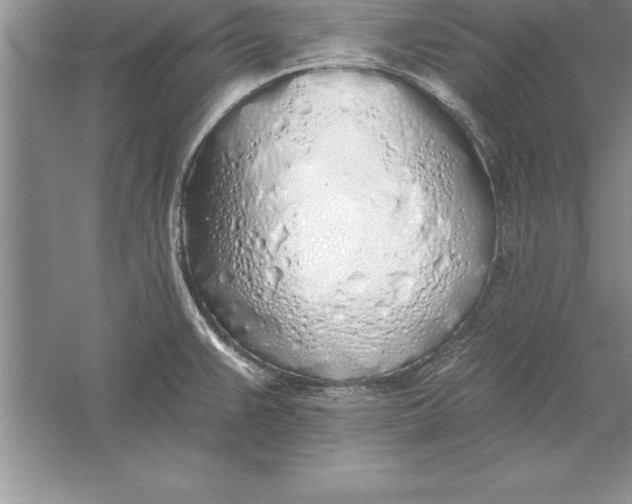 X0000055991383200509092008