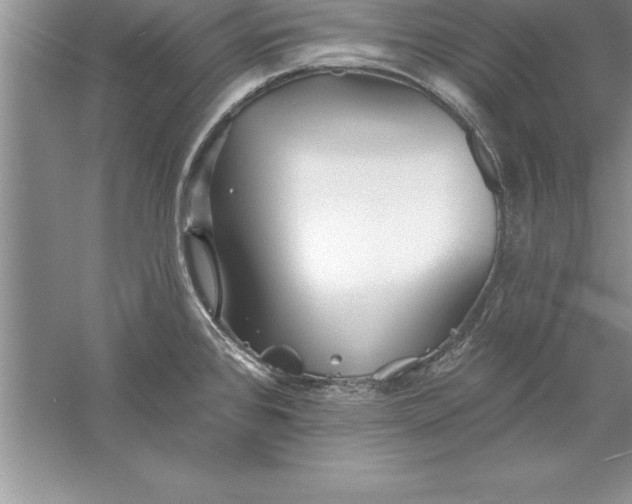 X0000055991384200509092008