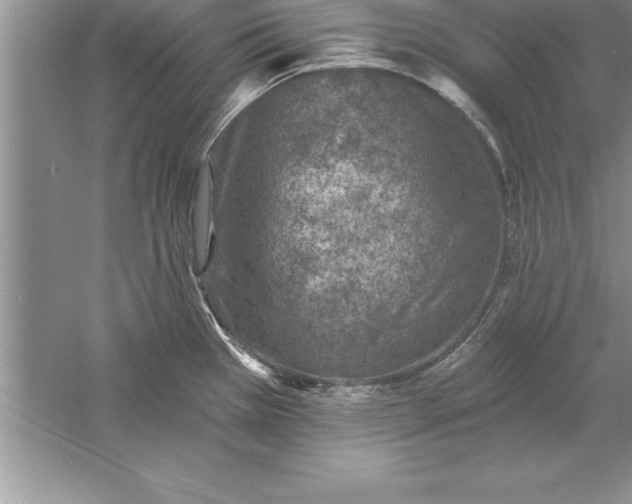 X0000055991385200509092008