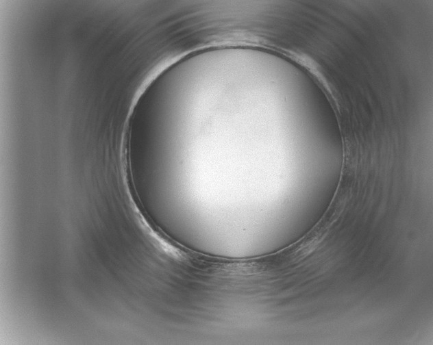 X0000055991387200509092008