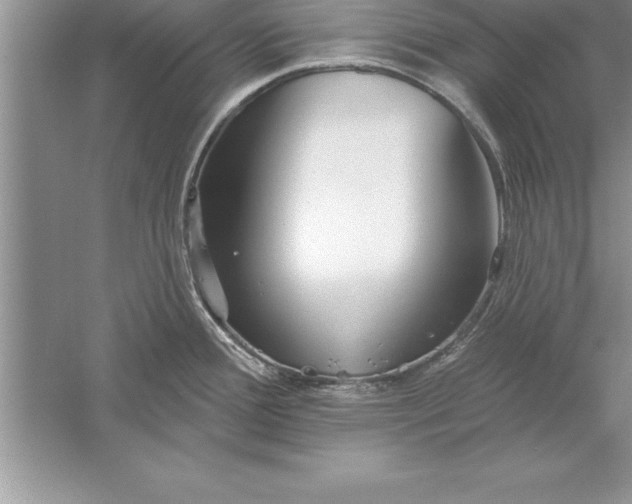 X0000055991388200509092008