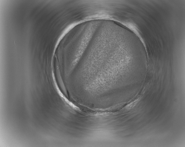 X0000055991389200509092008