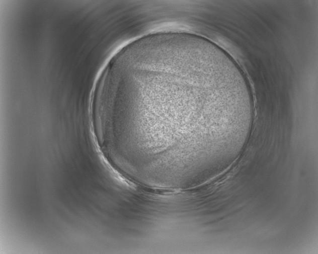 X0000055991392200509092008