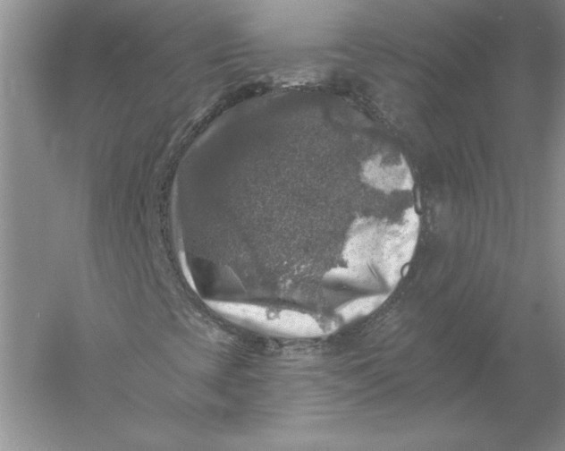 X0000055991393200509092007