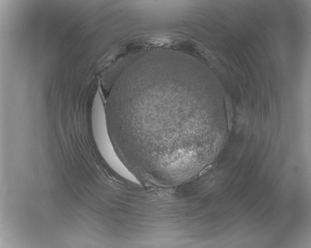 X0000055991394200509092007