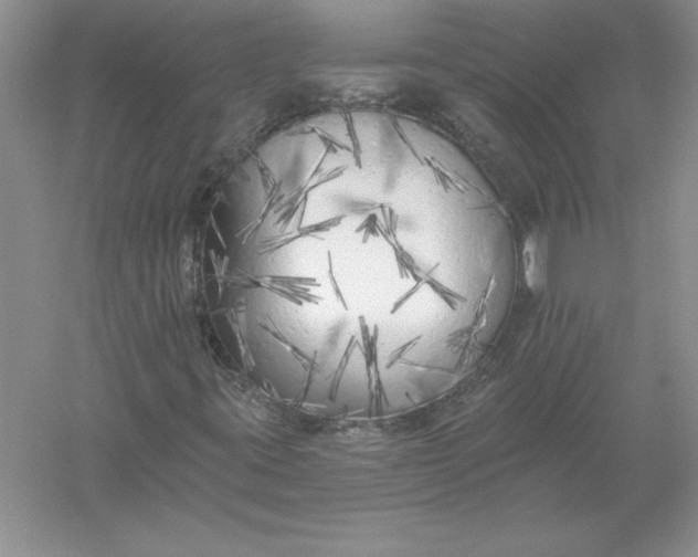 X0000055991395200509092007