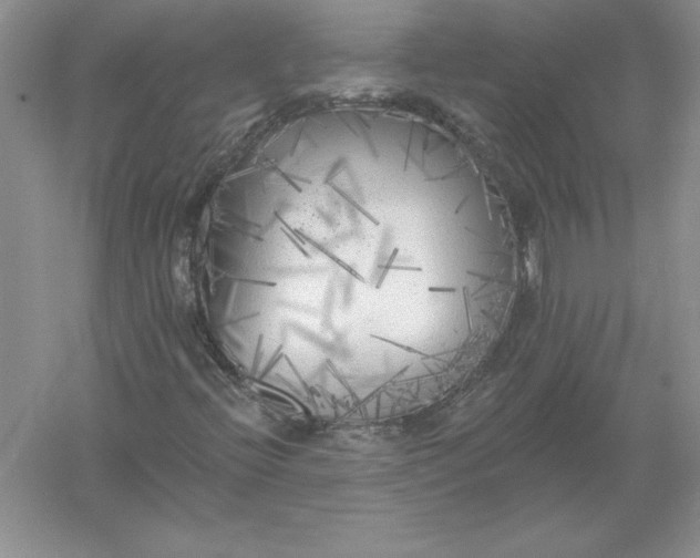 X0000055991396200509092007