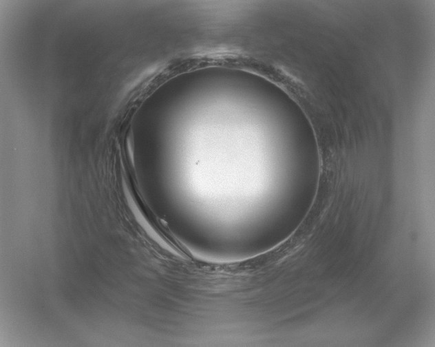 X0000055991398200509092007