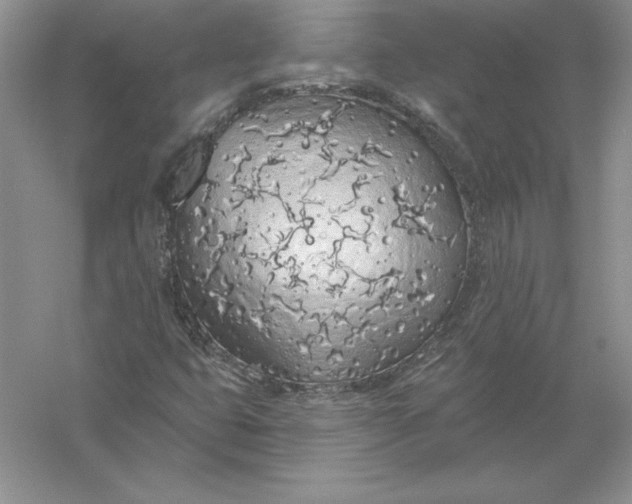 X0000055991399200509092007