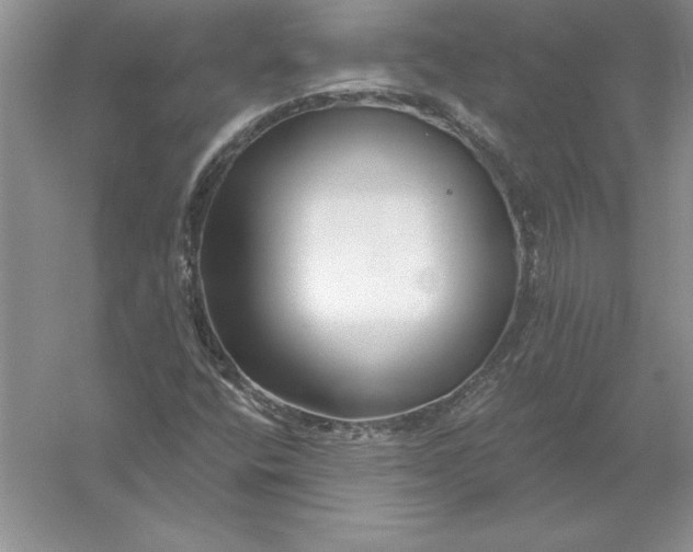 X0000055991400200509092007