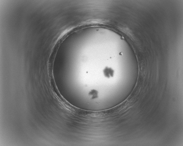 X0000055991404200509092007