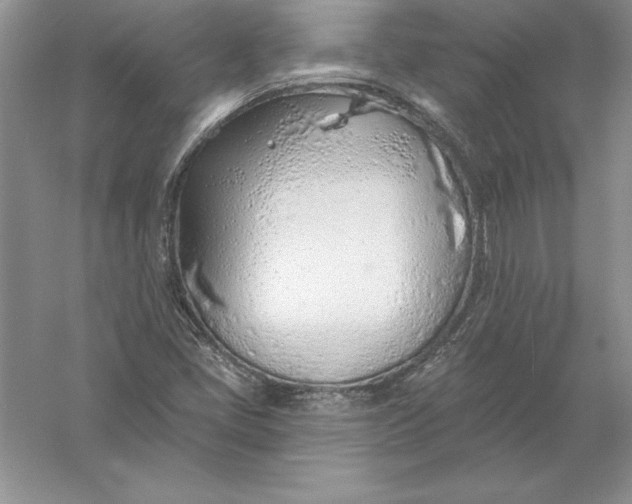 X0000055991405200509092007