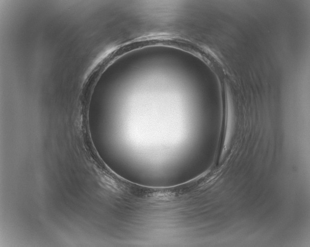 X0000055991406200509092007