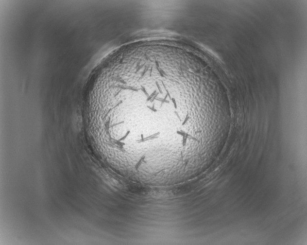 X0000055991407200509092007